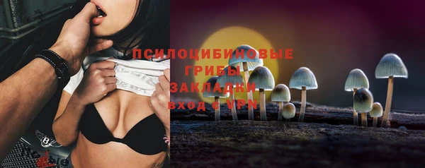 дурь Пикалёво