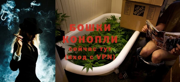 PSILOCYBIN Вязьма