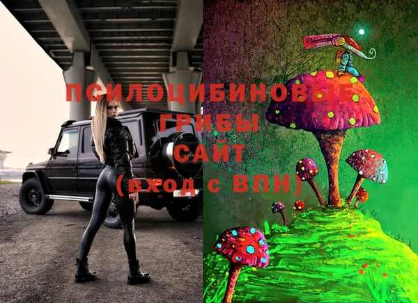 PSILOCYBIN Вязьма