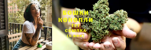 PSILOCYBIN Вязьма