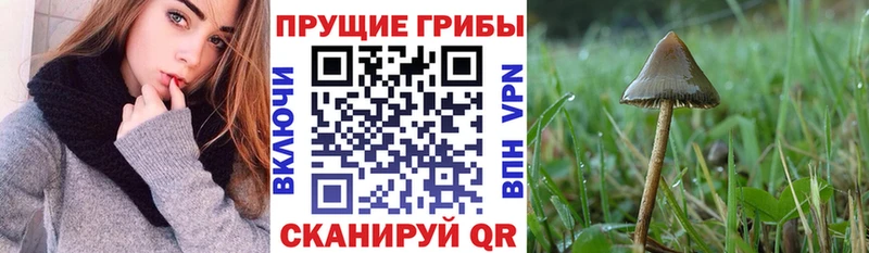 Псилоцибиновые грибы Magic Shrooms  Очёр 